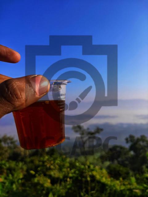 Tea & Hill